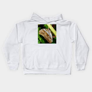 Mournful Brown Owl Butterfly showing his beautiful patterns on its wings Kids Hoodie